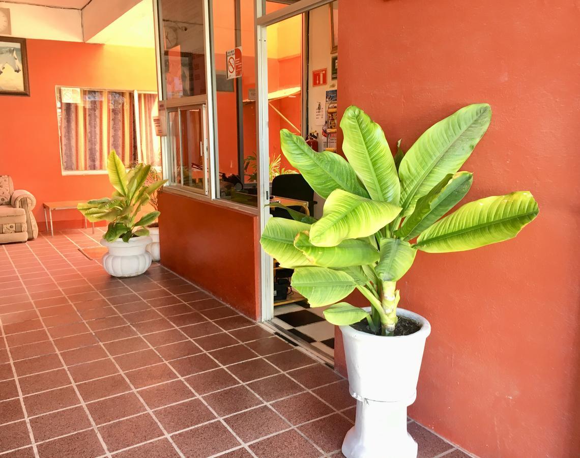 Hotel Bahia De La Paz Exteriör bild